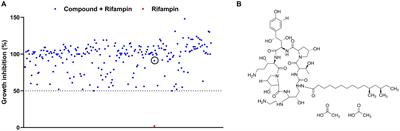 Caspofungin enhances the potency of rifampin against Gram-negative bacteria